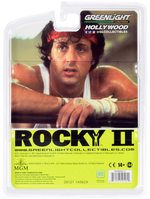 1979 Pontiac Firebird Trans Am T/A Black with Hood Bird "Rocky II" (1979) Movie "Hollywood Series" Release 5 1/64 Diecast Model Car by Greenlight
